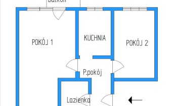 -orientacyjny rzut