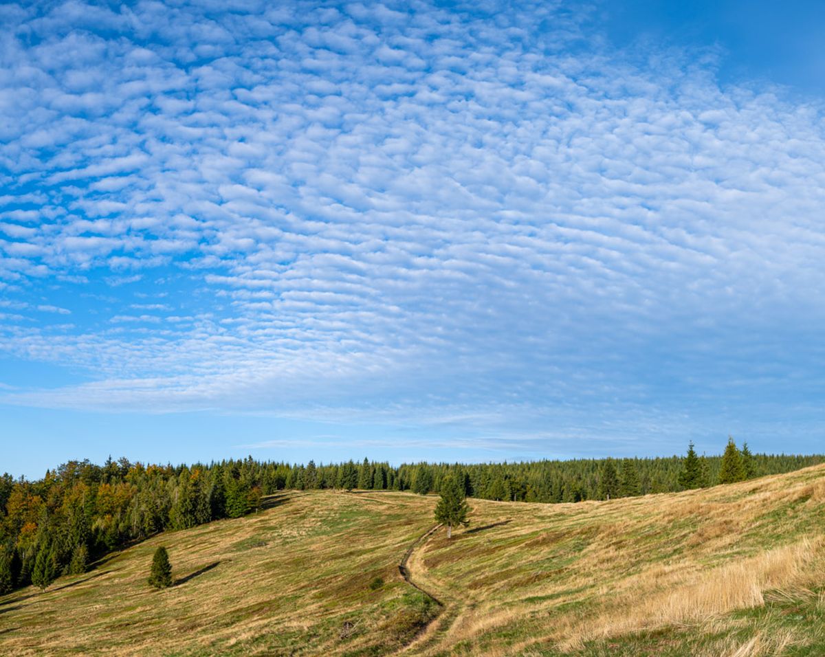 Chmury nad Halą Radziechowską