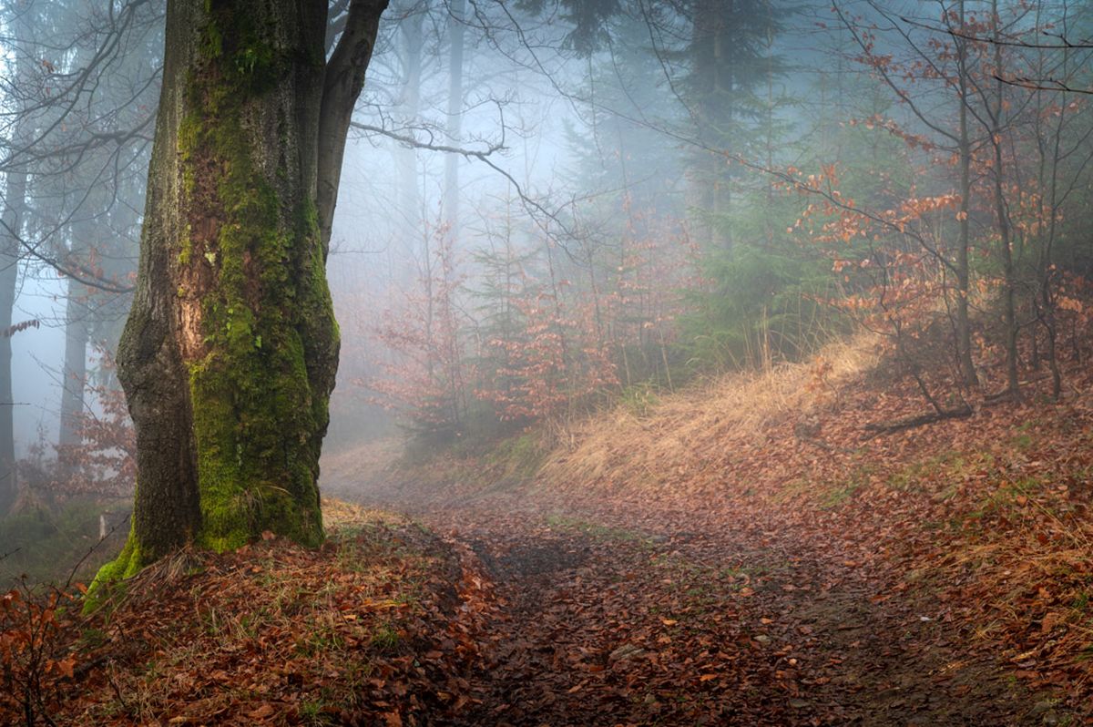 jesień na szlaku