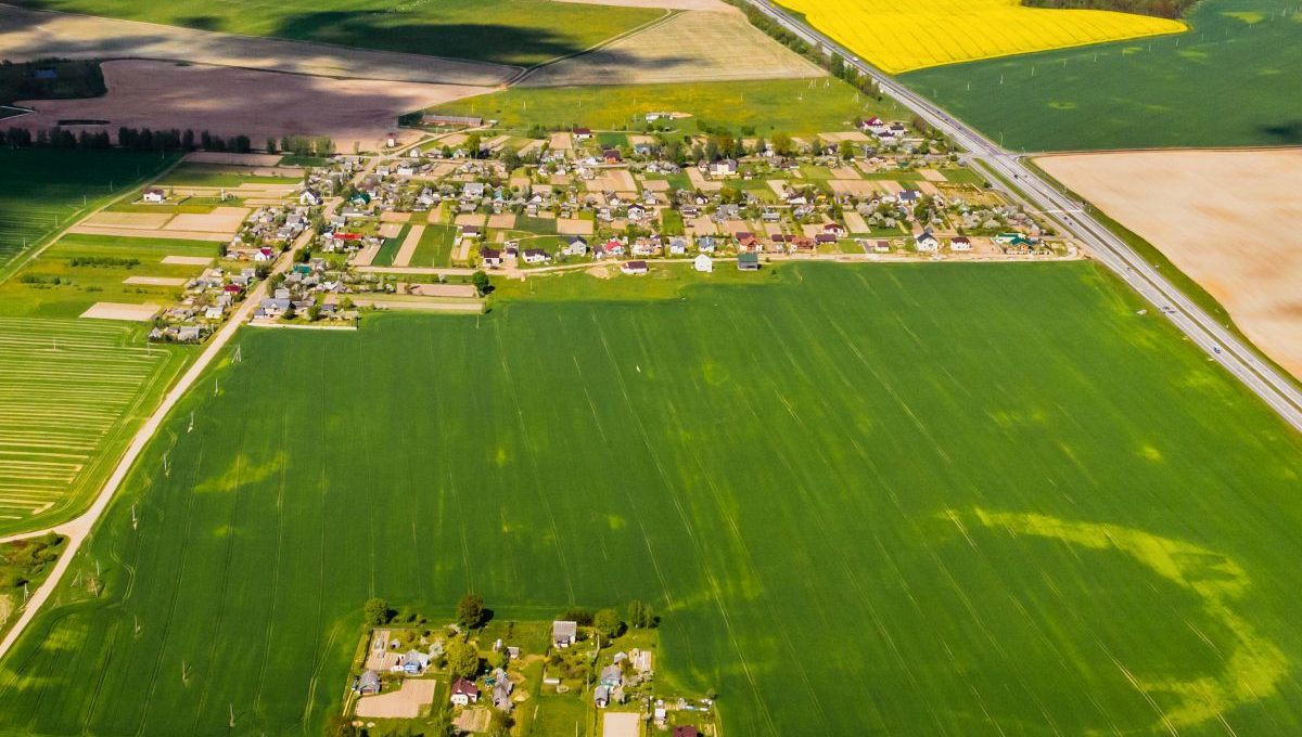 Kto kupuje działki rolne?