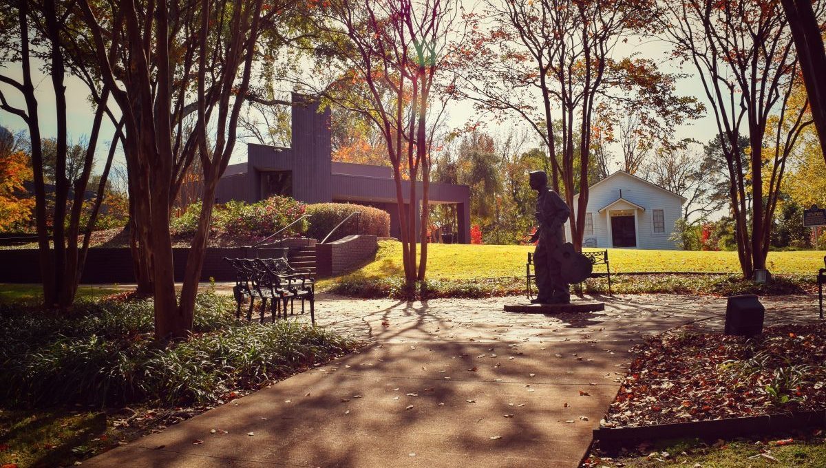 Mieszkania blisko zieleni są coraz bardziej pożądane na rynku