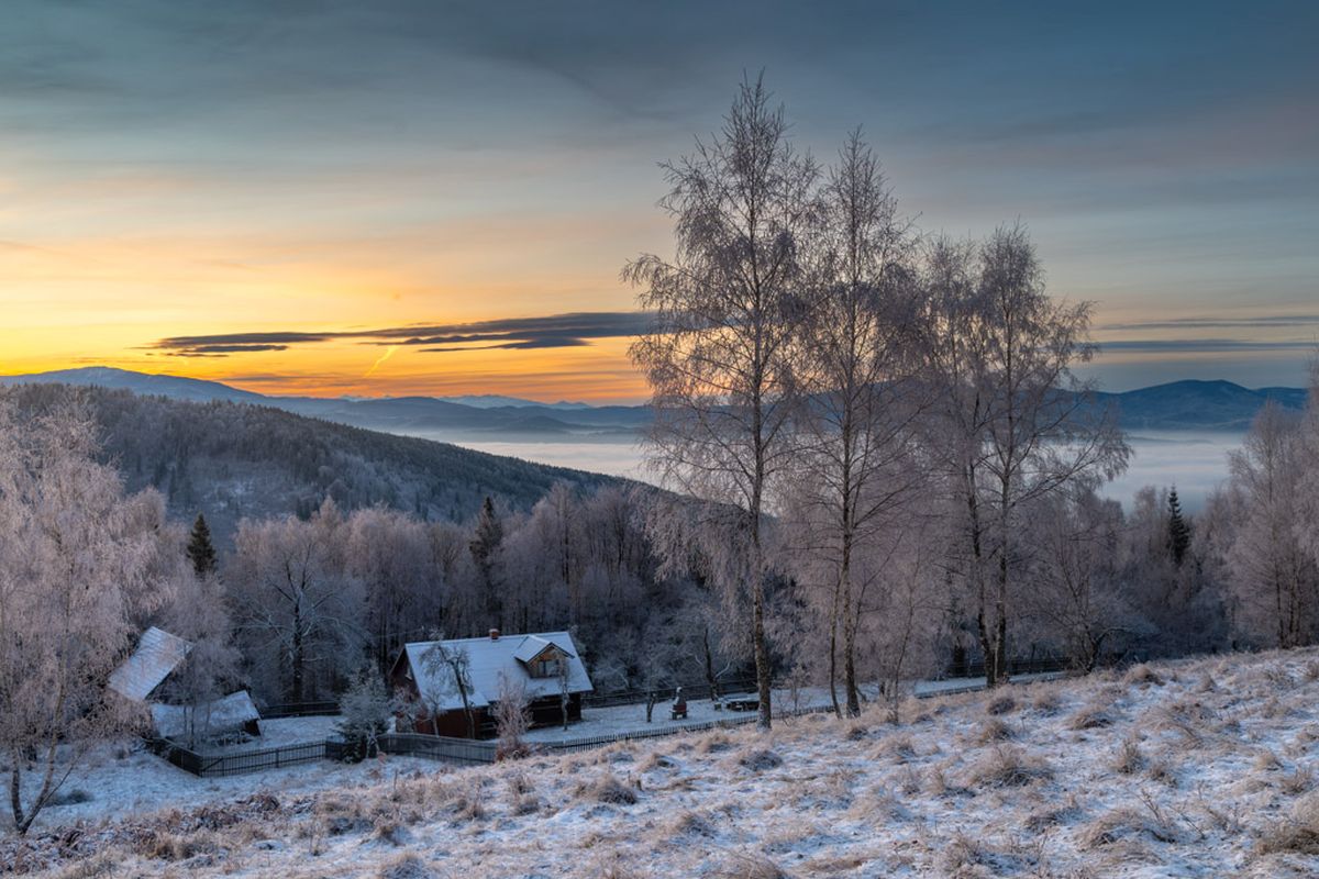 Na jednej ze starych polan