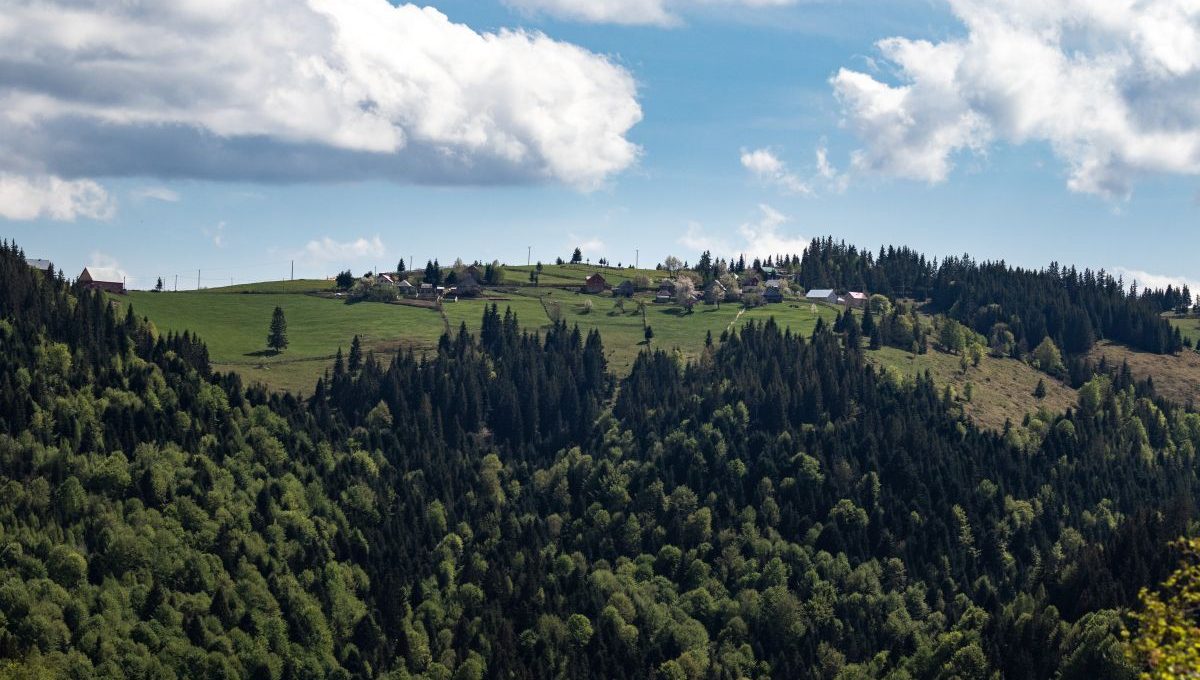 Obszar rynku nieruchomości powiatu żywieckiego
