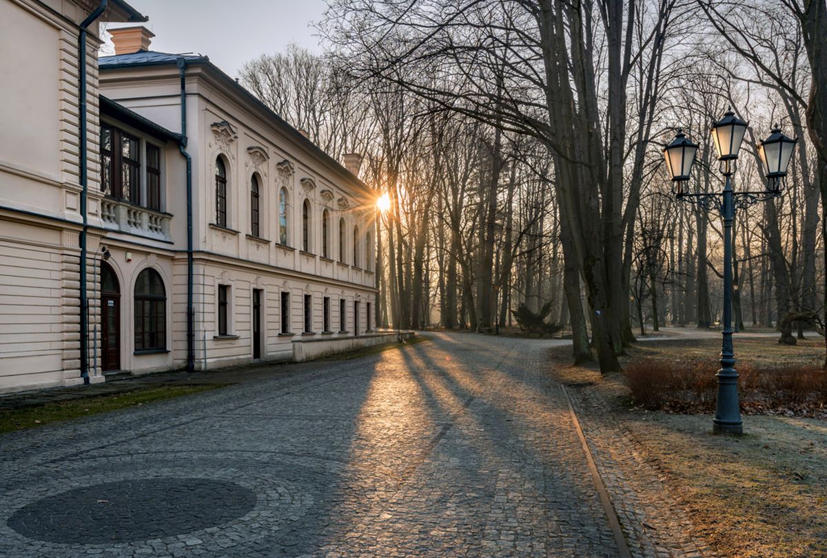 początek dnia w parku