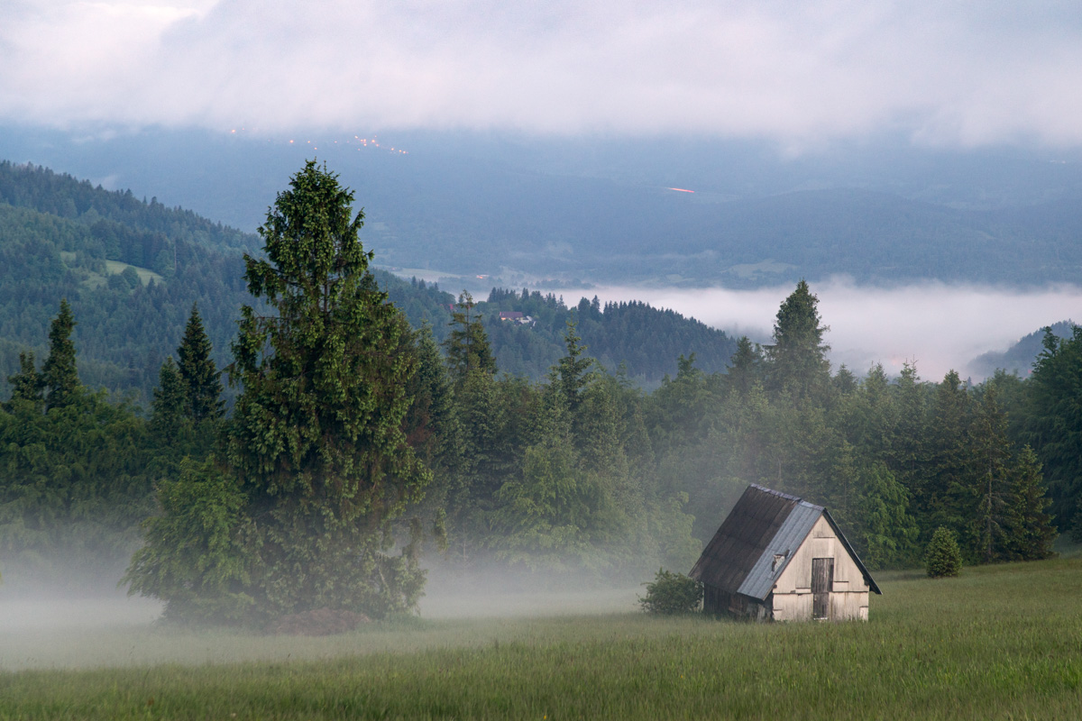 Poranne mgły na Hali Boraczej