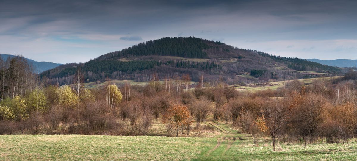 Widok na Grójec