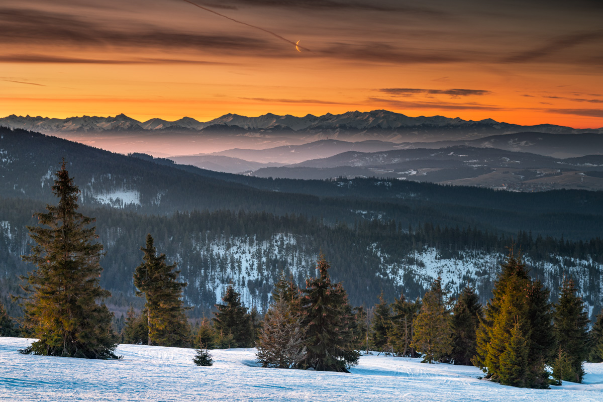 Widok na Tatry z Rysianki