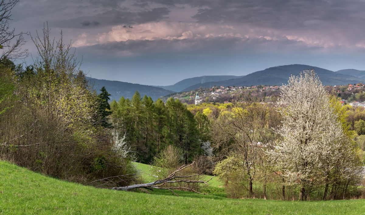Widok z Grojca na północ