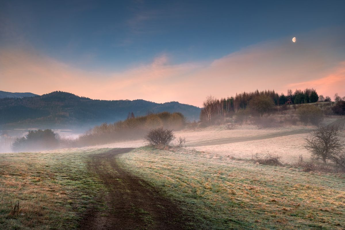Wiosna nad Wieprzem