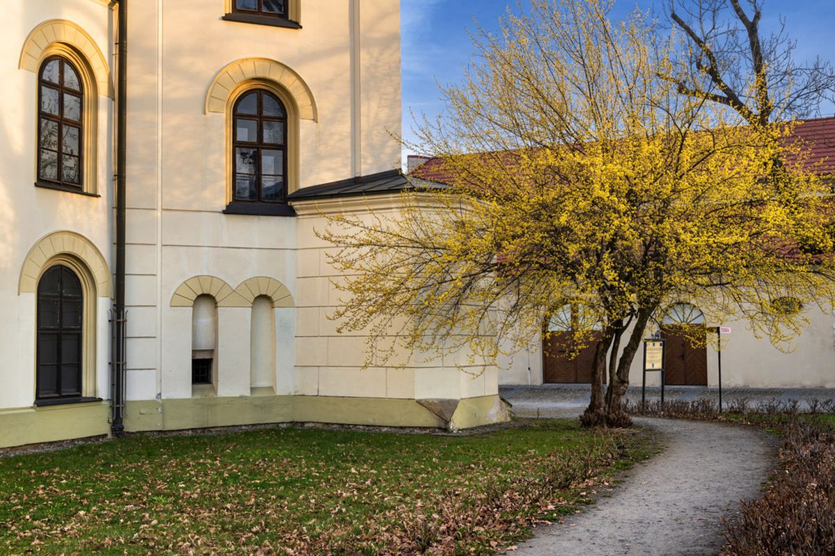 wiosna przy starym zamku