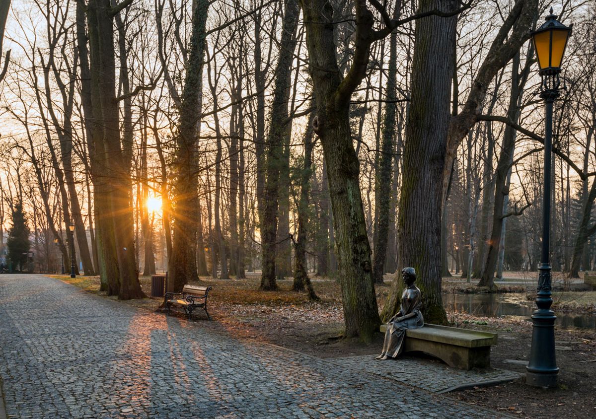 wschód słońca w parku
