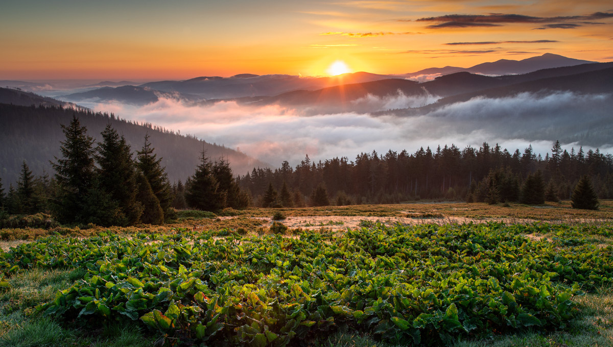Wschód słońca na Rysiance
