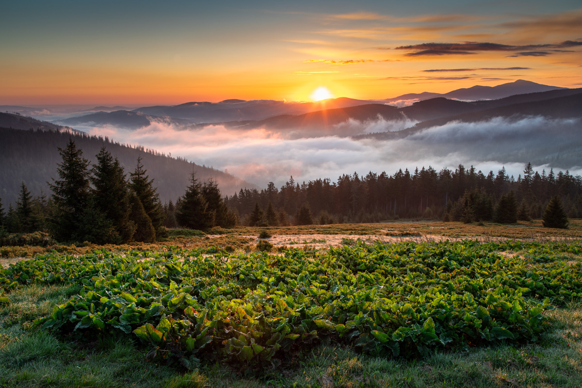 Wschód słońca na Rysiance