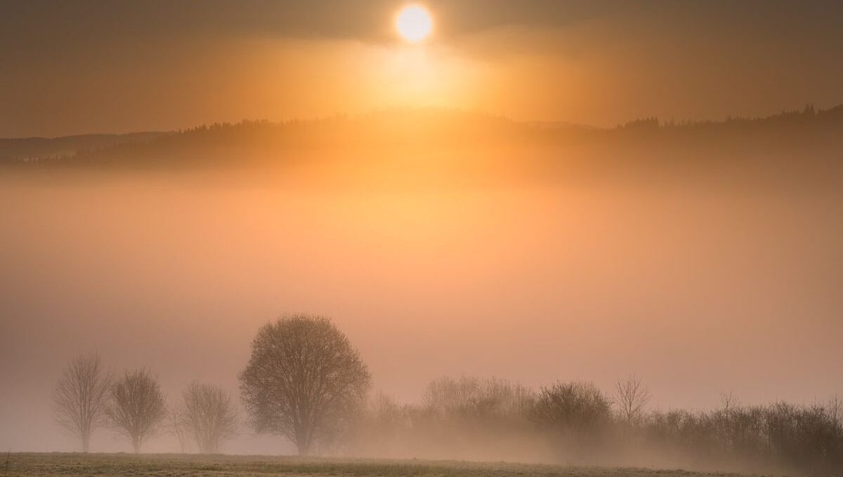 Wschód słońca nad Kępą